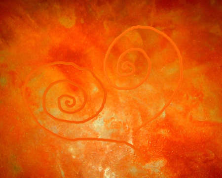 Tuscan Valentineの写真素材