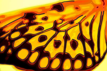 Monarch Wingの写真素材