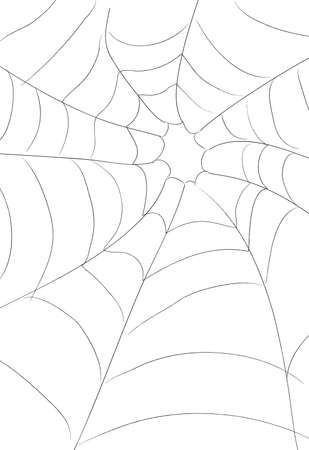 Spiders Webの写真素材