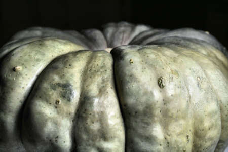 Creepy Pumpkinの写真素材