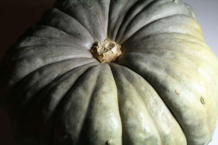 Gourdの写真素材