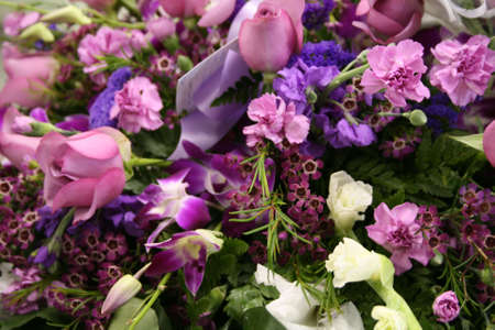 colorful plants