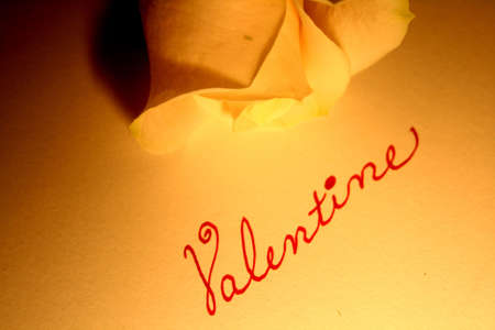 valentineの写真素材