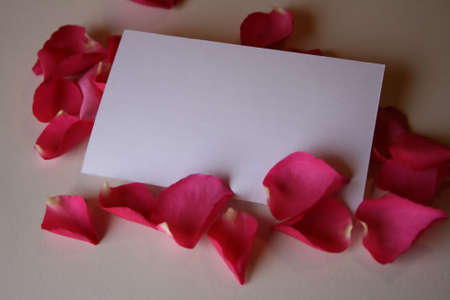 blank cardの写真素材