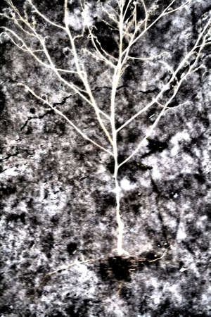 Icy Veins