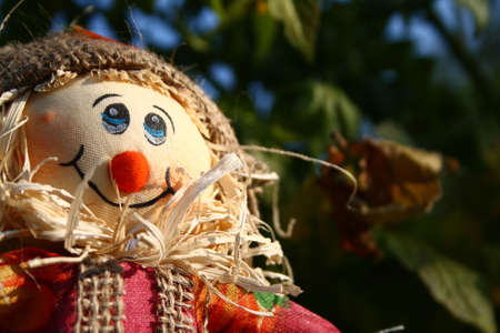 spooky scarecrowの写真素材