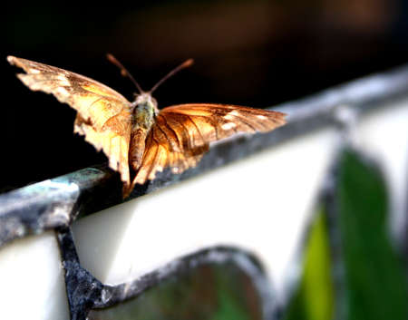 Taking Offの写真素材