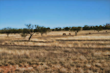Dead of Winterの写真素材