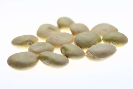 Beans alternative energyの写真素材