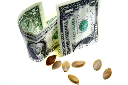 Starting a Business