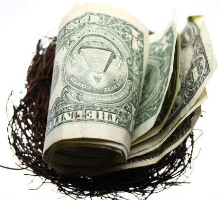 cash in Nestの写真素材