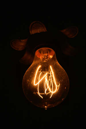 Coil Style Bulbの写真素材