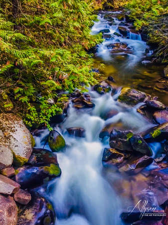 A fabulous waterfall near Weippe Idaho wilderness areaの写真素材