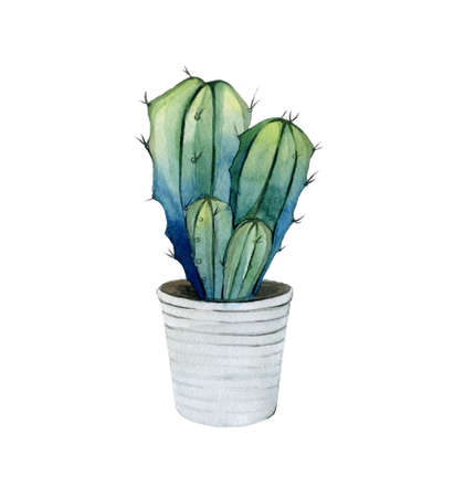 Cactus in the pot. Design for creating, boho style, card, invitation. Cute plant detail. Watercolour illustration isolated on white background.の写真素材