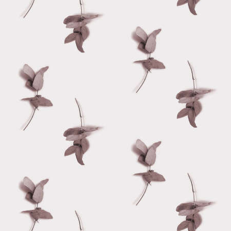 Dried eucalyptus branches. Minimalist pattern. Plant photo on beige background.の写真素材