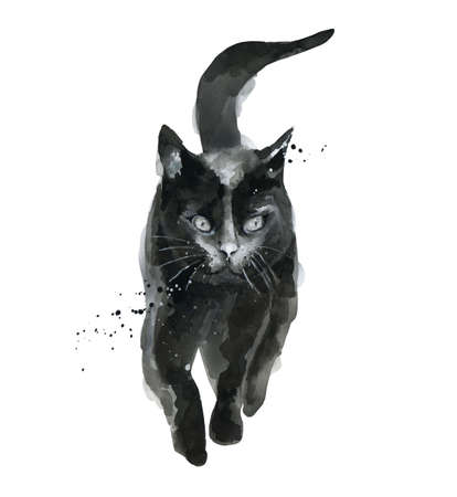 Black cat. Walking animal. Watercolour illustration isolated on white background.の写真素材