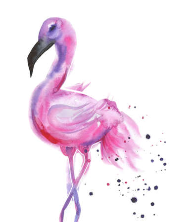 Pink flamingo. Tropical bird. Watercolour illustration isolated on white background.の写真素材
