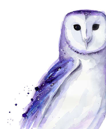 Barn owl. Abstract purple bird. Watercolour illustration isolated on white background.の写真素材