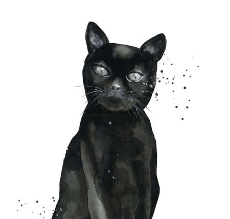 Black kitten. Animal portrait. Watercolour illustration isolated on white background.の写真素材