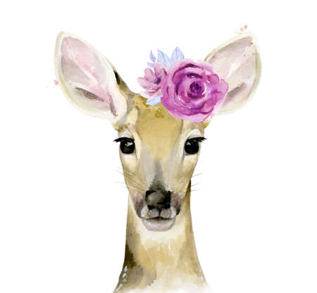 Fawn with flowers on the head. Young deer. Watercolour illustration isolated on white background.の写真素材