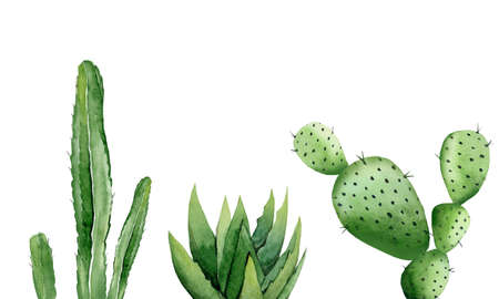 Desert plant set. Green cactuses. Watercolour illustration isolated on white background.の写真素材