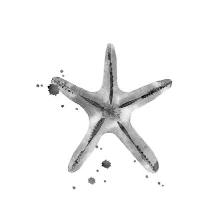 Watercolour starfish. Sea creature. Design for sea style invitation, tote bag, pillow, textile, card, postcard. Watercolour illustration isolated on white background.の写真素材