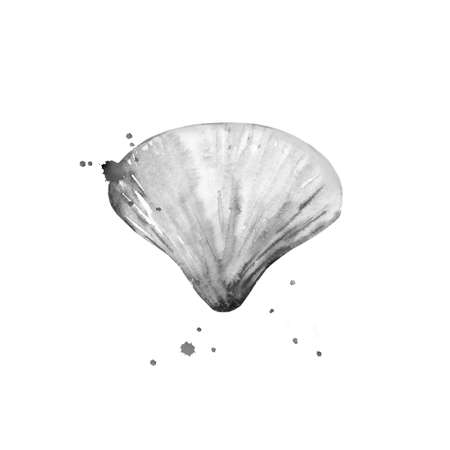 Sea shell with watercolour blots. Marine creature. Monochrome illustration isolated on white background.の写真素材