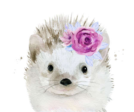 Hedgehog with flowers on the head. Watercolour illustration isolated on white background.の写真素材