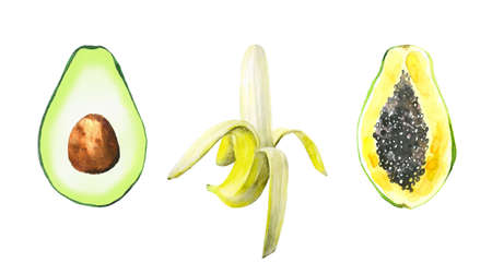 Tropical summer fruit and vegetable set. Peeled banana, avocado, papaya. Food painted art. Design for kitchen wall poster, card, postcard, pattern, wallpaper. Watercolour illustration on white backgrounの写真素材