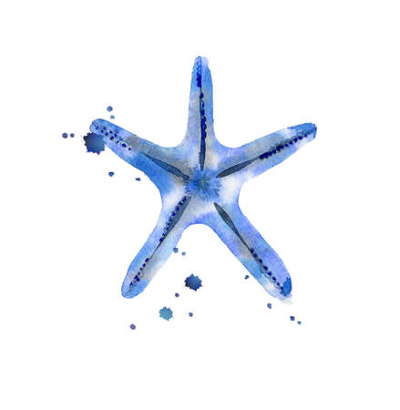 Blue starfish with blots of paint. Sea summer creatures set. Design for pattern, poster in sea style, textile. Watercolour illustration isolated on white background.の写真素材