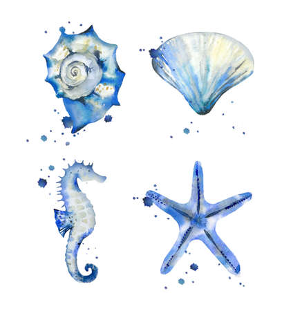 Sea shell and under water objects. Ocean creatures set. Watercolor illustration isolated on white background.の写真素材