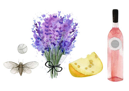 Attributes of France. Lavender bouquet, cheese, vine, cicada fly, petanque ball. Watercolour illustration isolated on white background.の写真素材