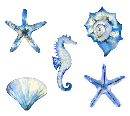 Watercolor hand-drawn set of starfish, seashells and seahorse. Ocean creatures collection. Blue illustration on white background.の写真素材