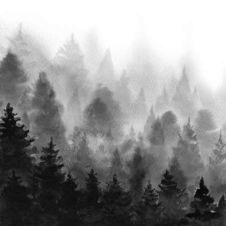 Foggy black forest. Minimalist landscape view. Watercolour illustration on white background.の写真素材