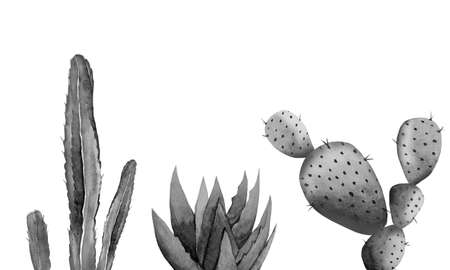 Monochrome desert plant set. Cactuses and aloe vera. Watercolour illustration isolated on white background.の写真素材