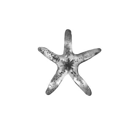 Watercolour grey starfish. Ocean creature. Design for sea style invitation, tote bag, pillow, textile, card, postcard. Illustration isolated on white background.の写真素材