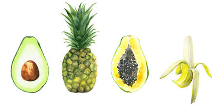 Tropical fruit and vegetable set. Peeled banana, avocado, papaya and pineapple. Food painted art. Design for kitchen wall poster, card, postcard, pattern, wallpaper. Watercolour illustration isolated on white background.の写真素材