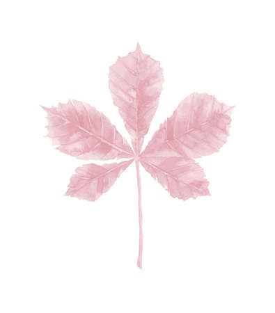 Tree leaf of a gentle shade. Light pink plant. Detail for wedding invitation, greeting, home decor, pattern, textile. Watercolour illustration isolated on white background.の写真素材