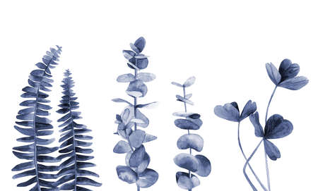 Blue plant leaves set. Abstract greenery collection. Watercolour illustration isolated on white background.の写真素材