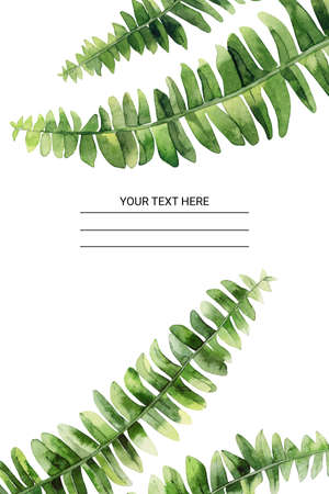 Watercolor fern. Watercolour leaves frame. Design for a greeting, wedding invitation, postcard, card, notebook. Botanical Illustration on white background. Painted background with empty space in the middle.の写真素材