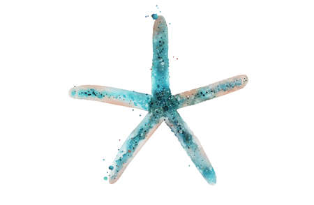 Bright blue starfish. Aquamarine watercolour illustration on white background.の写真素材