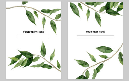 Leaf background. Green plant frame design. Ficus foliage frames. Watercolor illustration on white backgtround. Watercolour Art.の写真素材