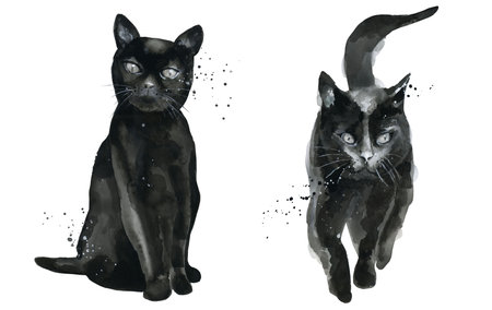 Walking and Sitting Black cats. Animal watercolor set. Watercolour illustration isolated on white backgroundの写真素材