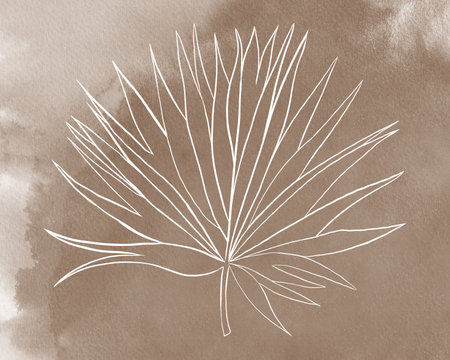 Palm leaf. Line illustration isolated on Watercolour beige background.の写真素材