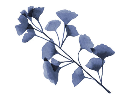 Watercolor Abstract Leaf illustration. Navy Blue Leaves. Ginkgo biloba branchの写真素材