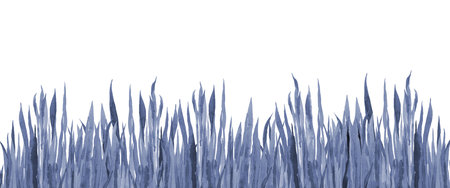 Abstract plant banner. Blue Background. Watercolour toned illustration isolated on white Background.の写真素材