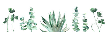 Watercolor plant set. Clover, Eucalyptus, Agave. Watercolour illustration isolated on white background.の写真素材