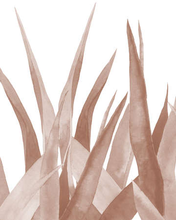 Dry grass leaves. Beige plant leaves. Watercolour pastel stem. Botanical illustration on white background.の写真素材