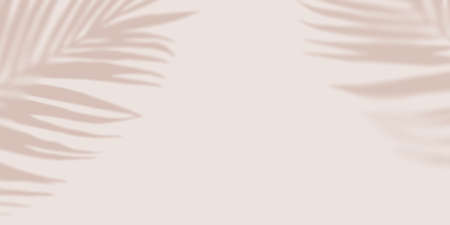 Pastel shadow Tropical Palm leaves on light pastel Background. Creative copyspace. Unobtrusive...