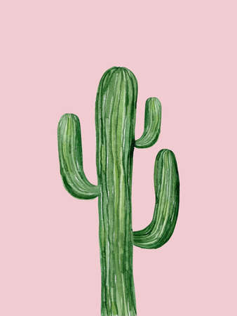 Saguaro cactus. South western plant. Botanical detail for greeting, invitation, card, postcard. Watercolour illustration isolated on white background.の写真素材